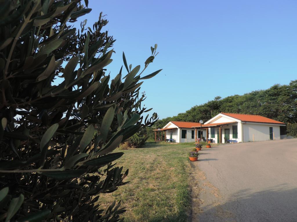 Agriturismo Sila Термолі Екстер'єр фото